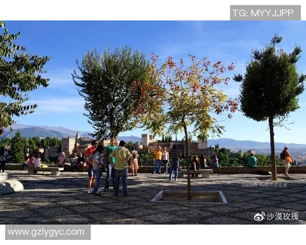 探索摩尔特里的历史与文化魅力,揭示这座城市的独特风情与发展潜力 探索摩尔特里的历史与文化魅力,揭示这座城市的独特风情与发展潜力